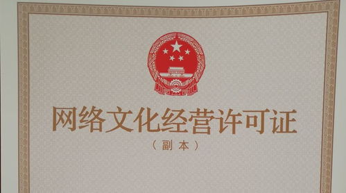 合肥市网络文化经营许可证办理全攻略 条件与材料详解
