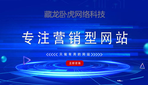企业营销型网站制作全攻略 从策划到分析再到结构规划的网络文化经营实践
